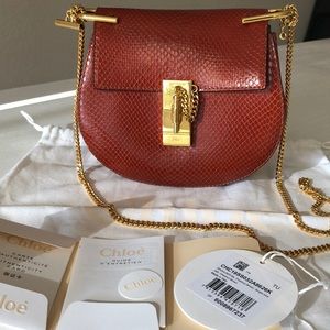 Chloe Watersnake Mini Drew Bag